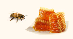 Raathoning Honey Comb